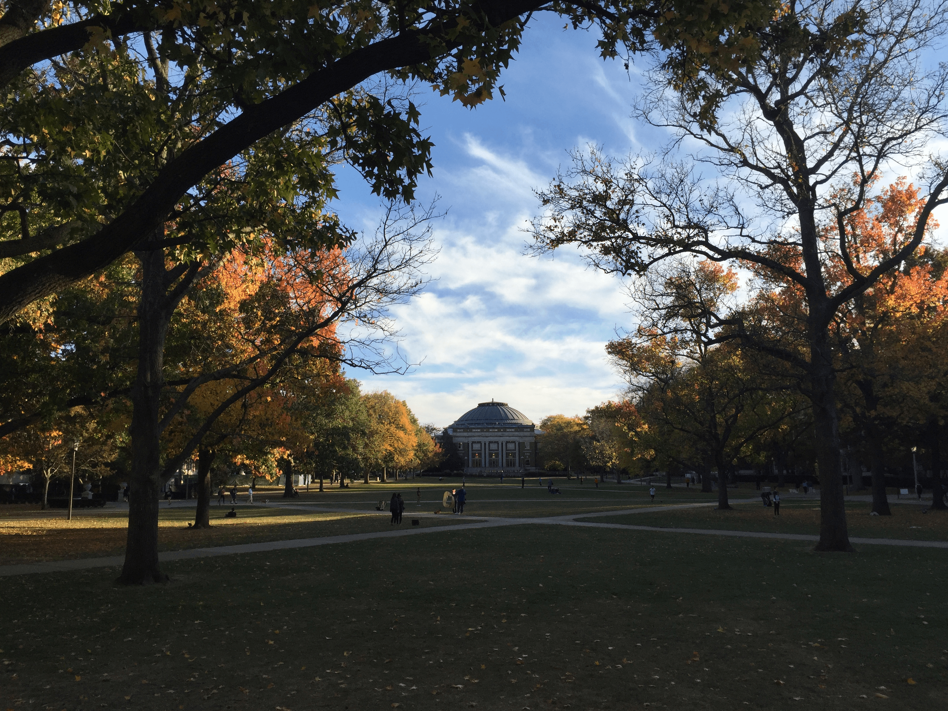 a fall day on the quad